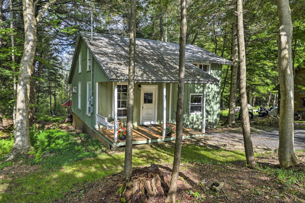 Adirondacks Cabin With Fire Pit On Otter Lake! Forestport エクステリア 写真